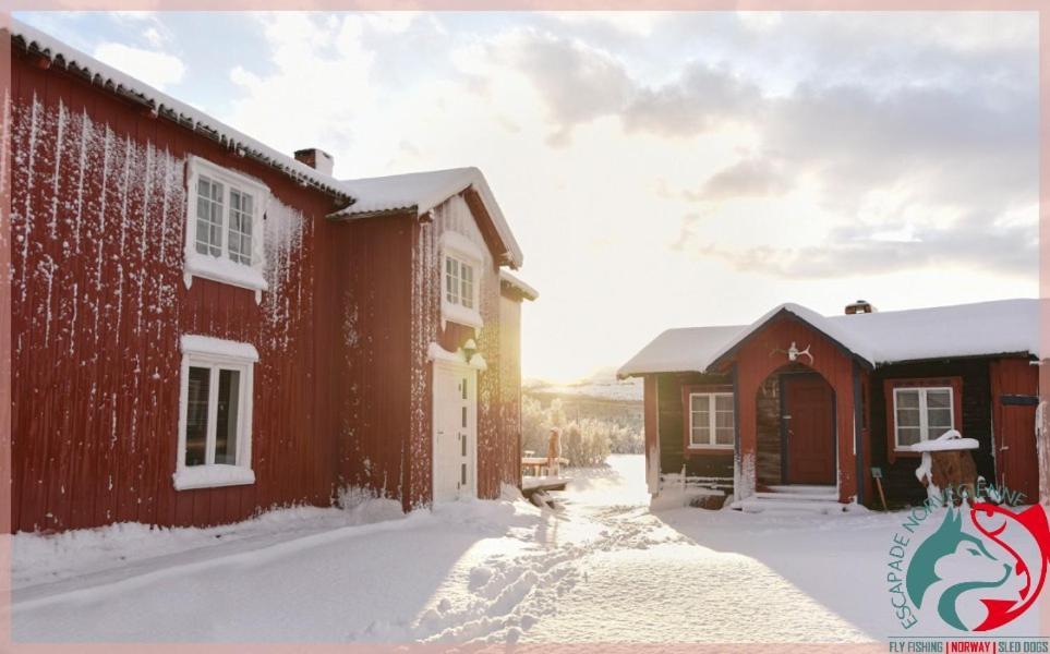 Apartamento Escapade Norvégienne Tolga Exterior foto